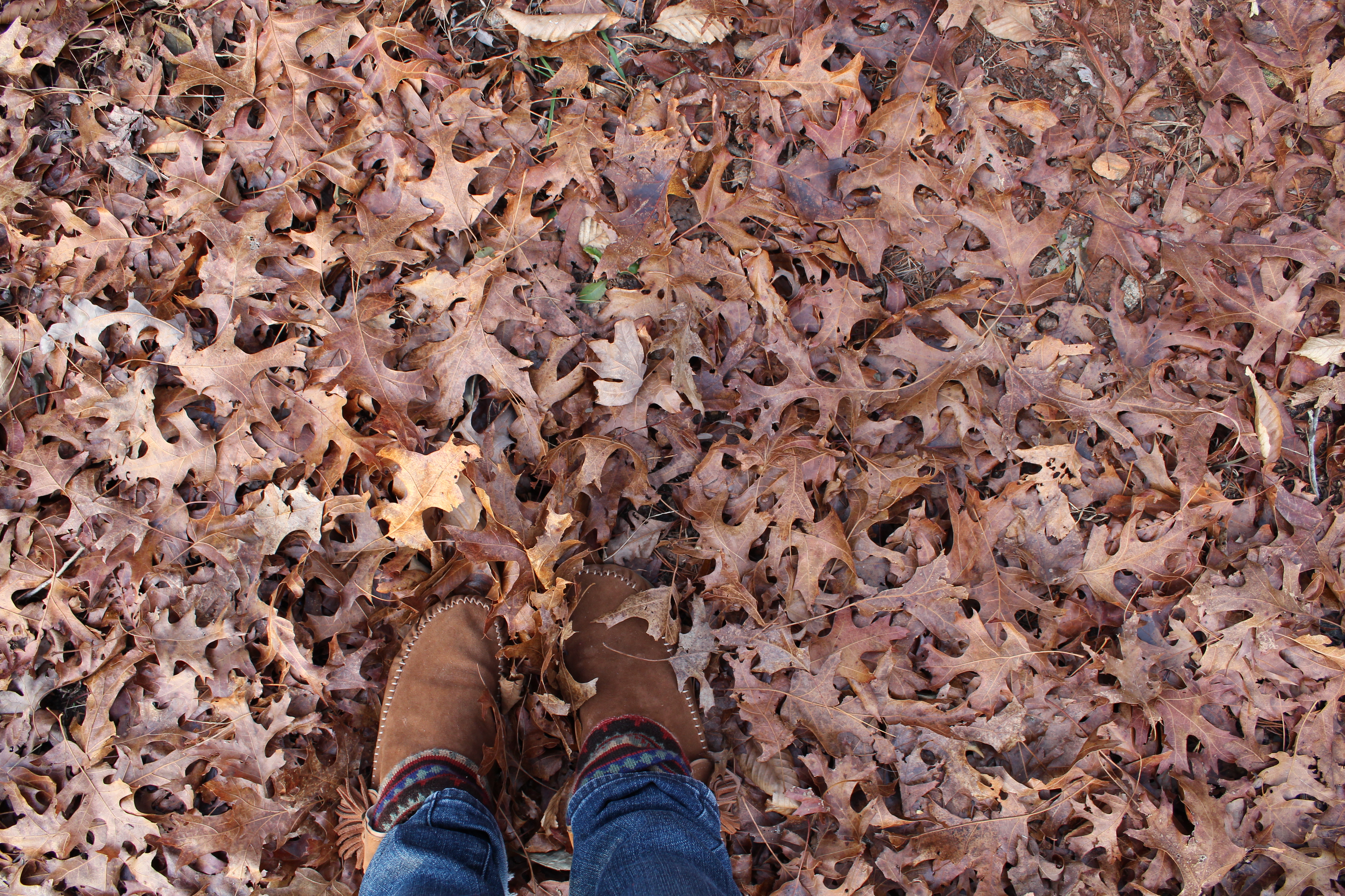 This image has an empty alt attribute; its file name is img_0357.jpg