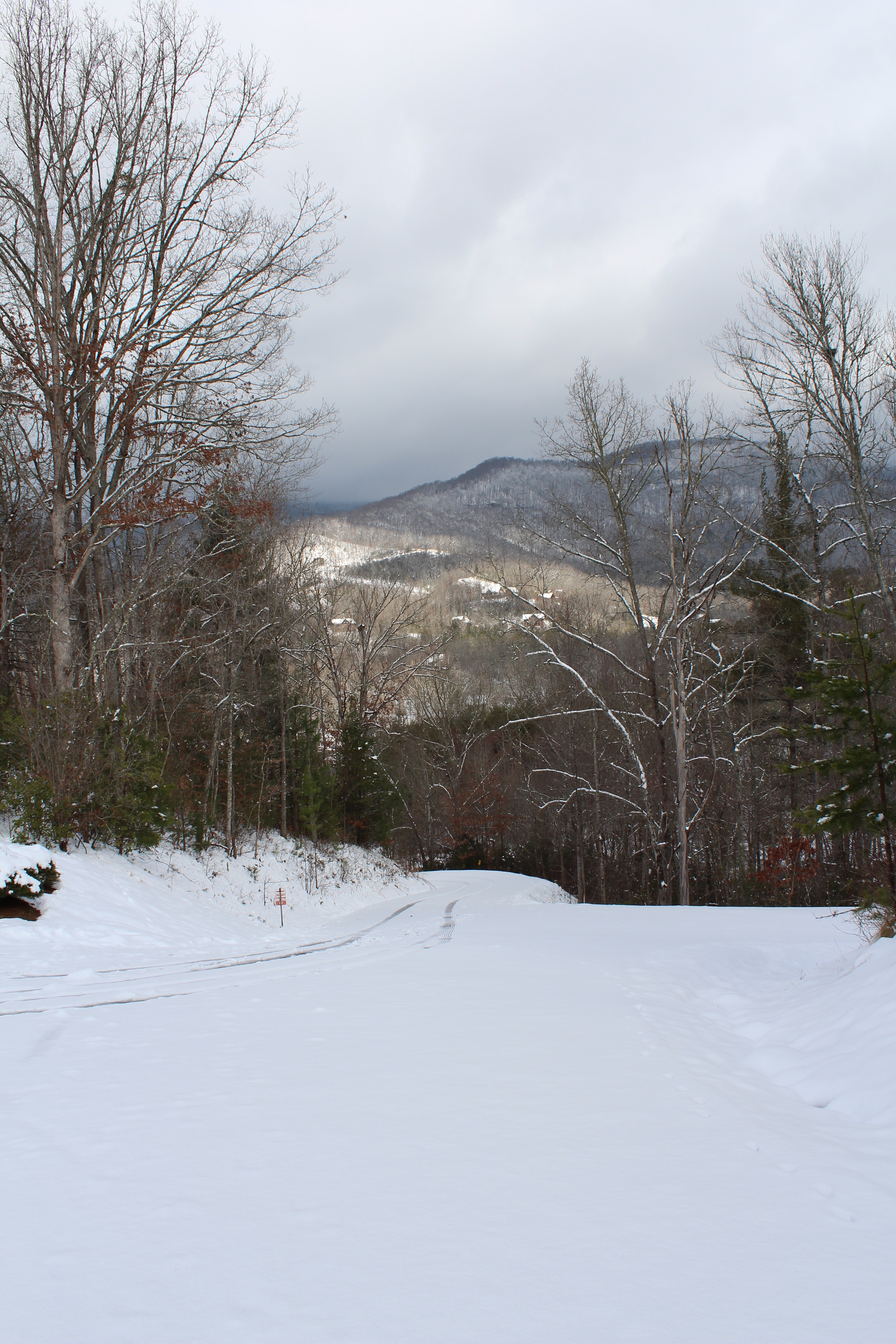 This image has an empty alt attribute; its file name is img_1209.jpg