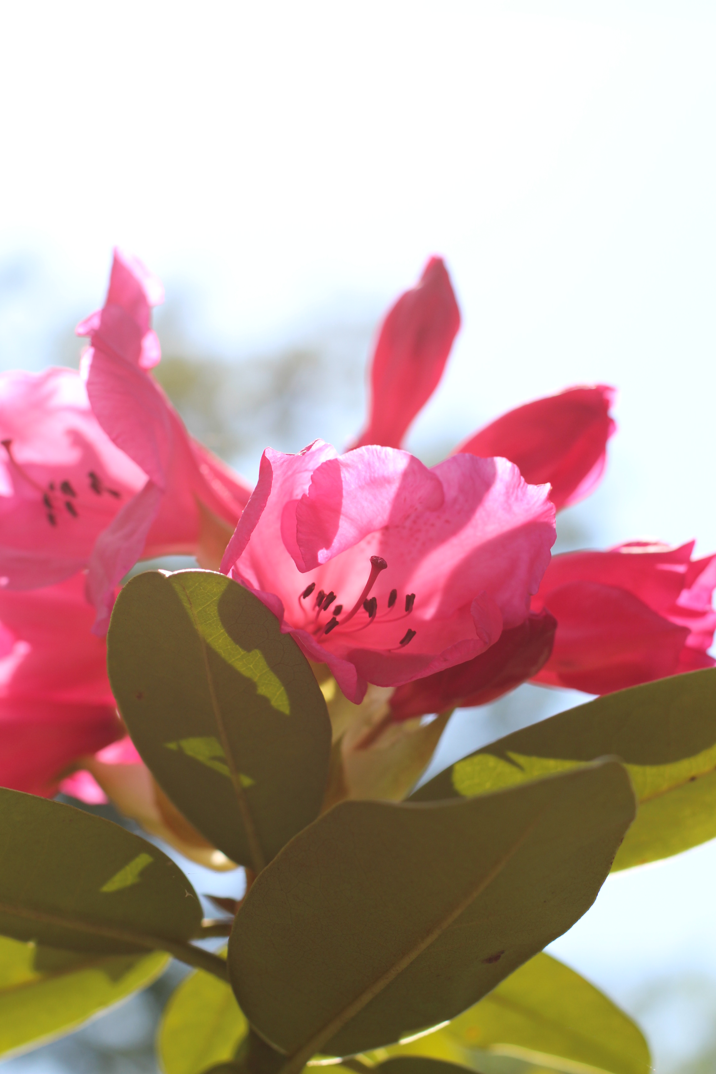 This image has an empty alt attribute; its file name is img_1610.jpg