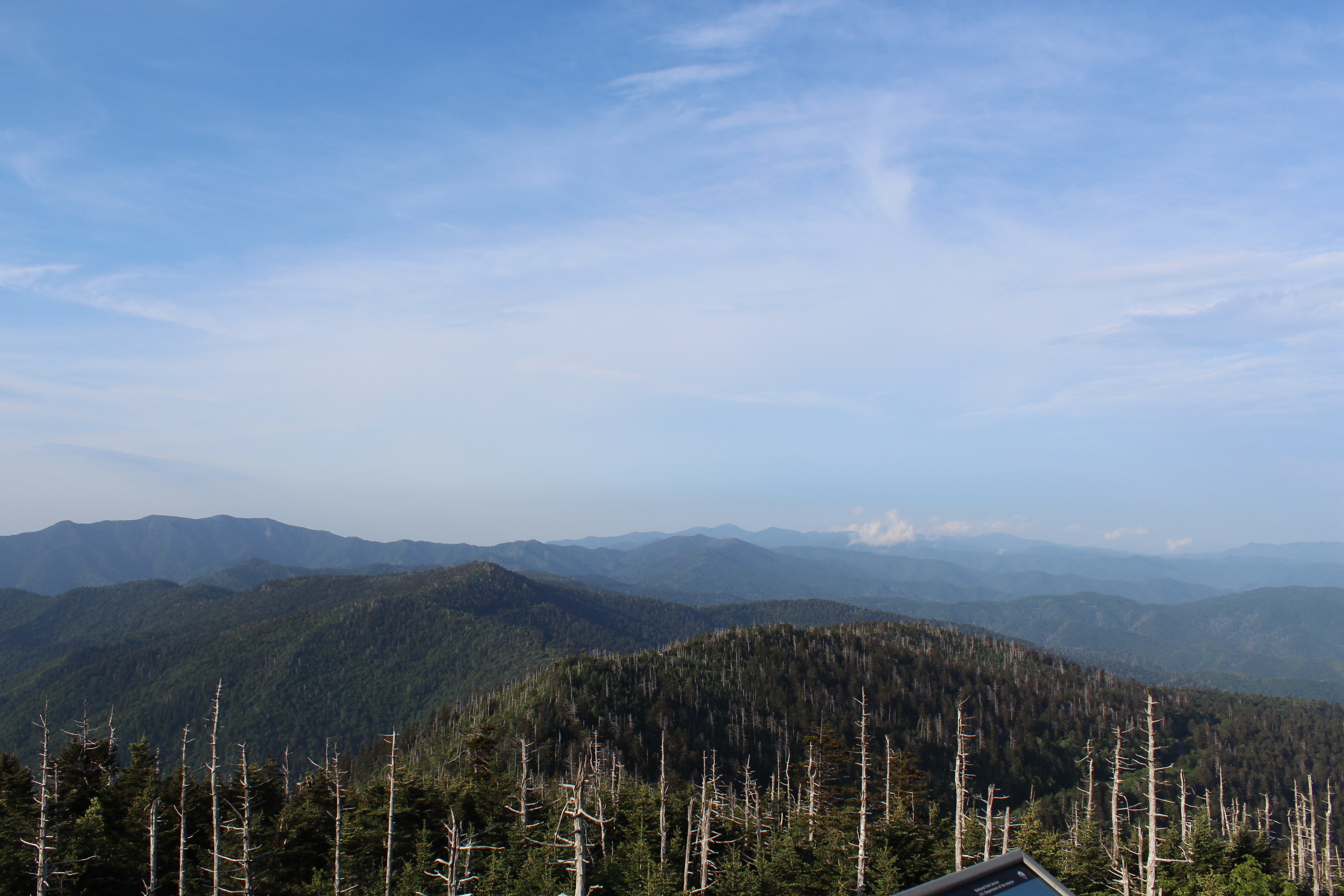 This image has an empty alt attribute; its file name is img_2021.jpg