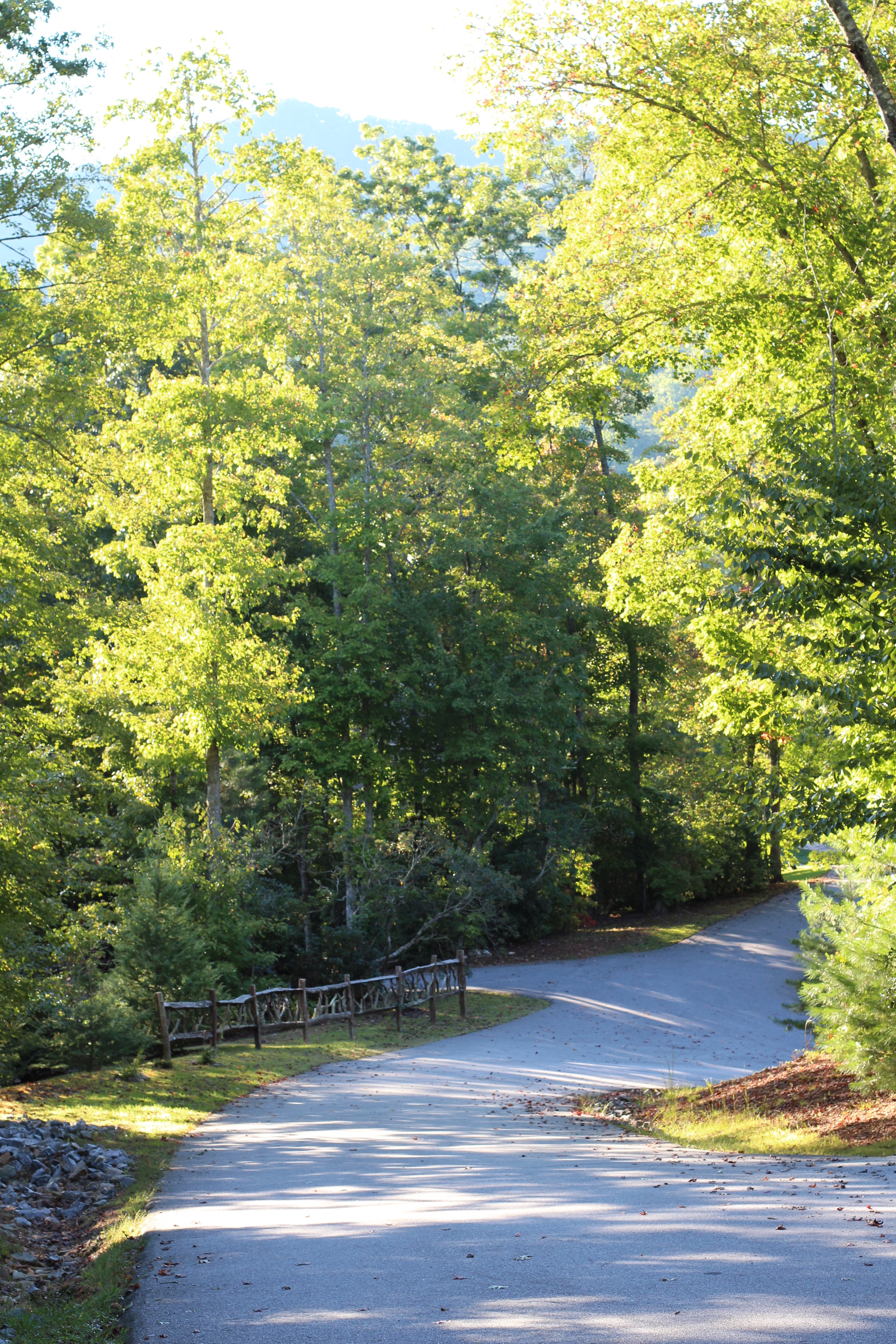 This image has an empty alt attribute; its file name is img_2284.jpg