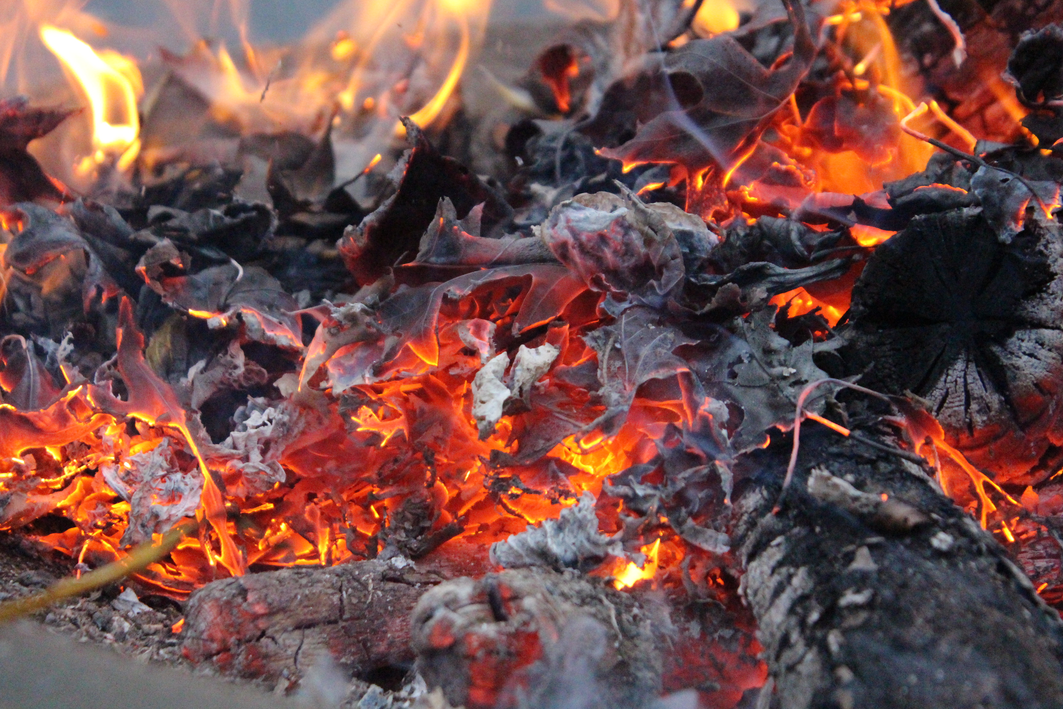 This image has an empty alt attribute; its file name is img_2771.jpg