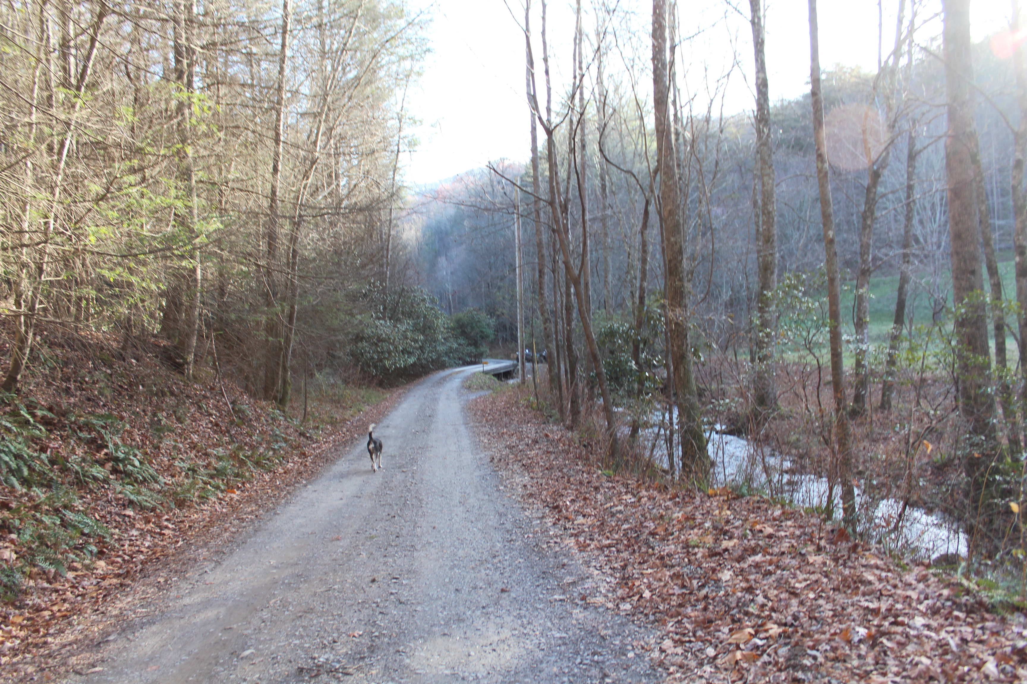 This image has an empty alt attribute; its file name is img_4670.jpg