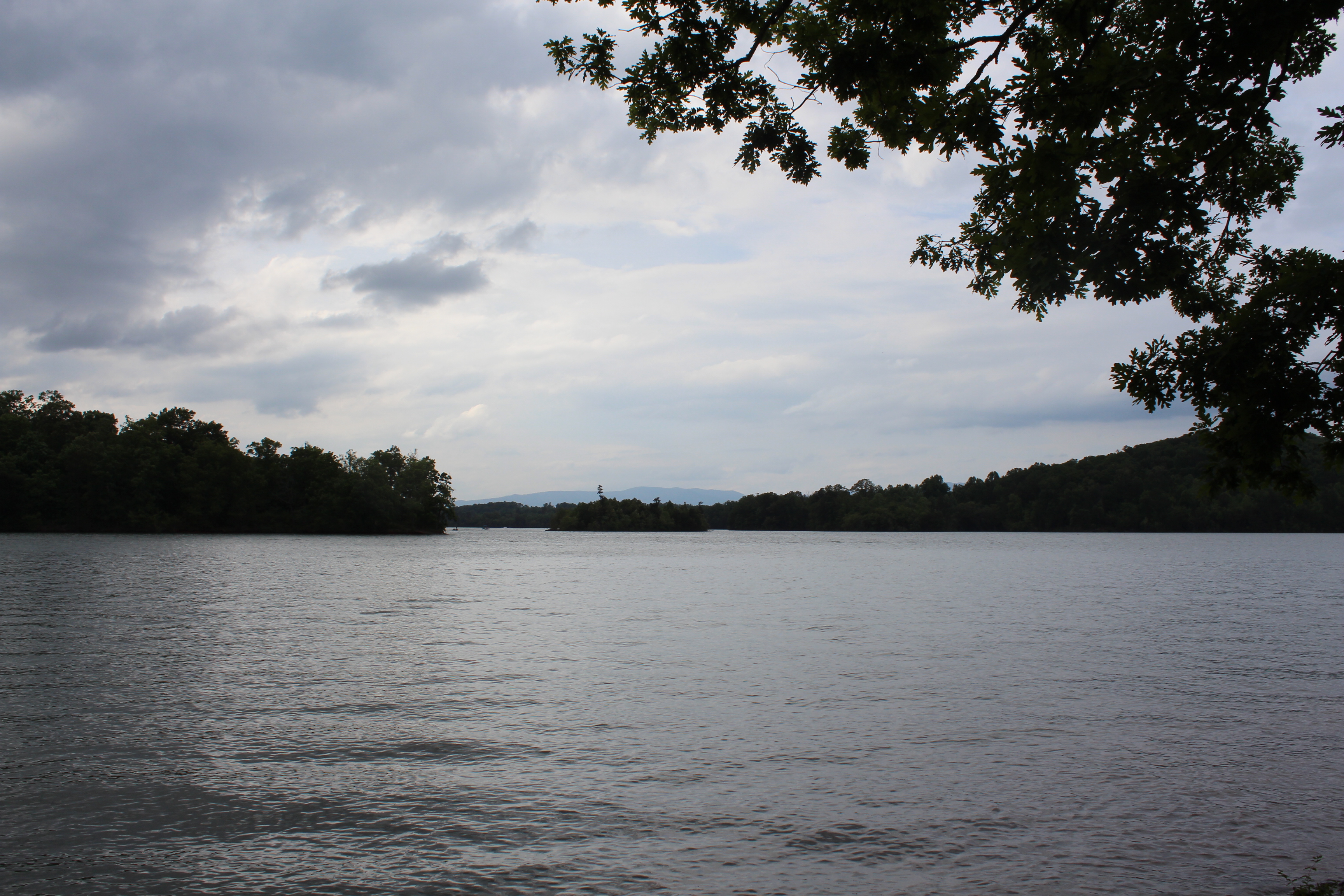 This image has an empty alt attribute; its file name is img_5664.jpg